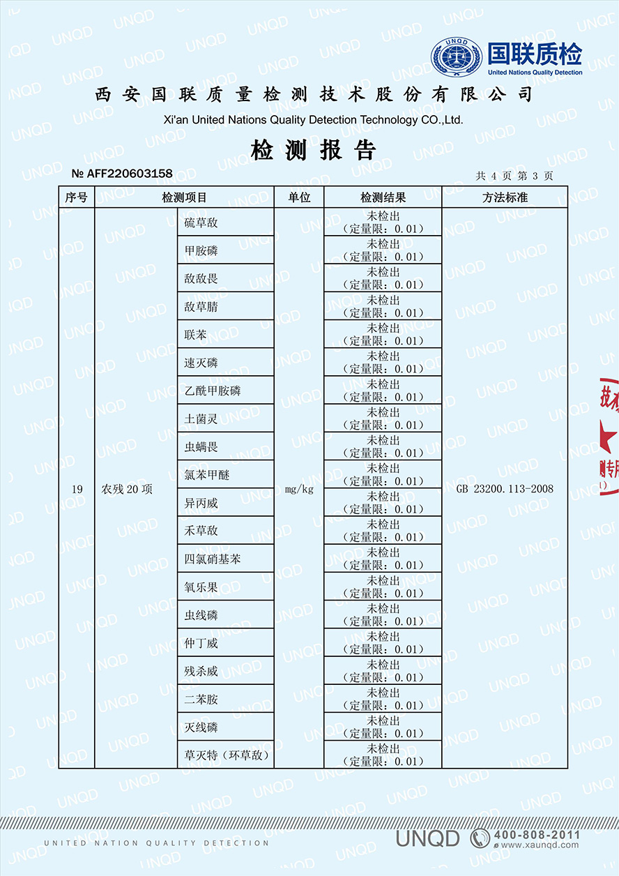检测报告