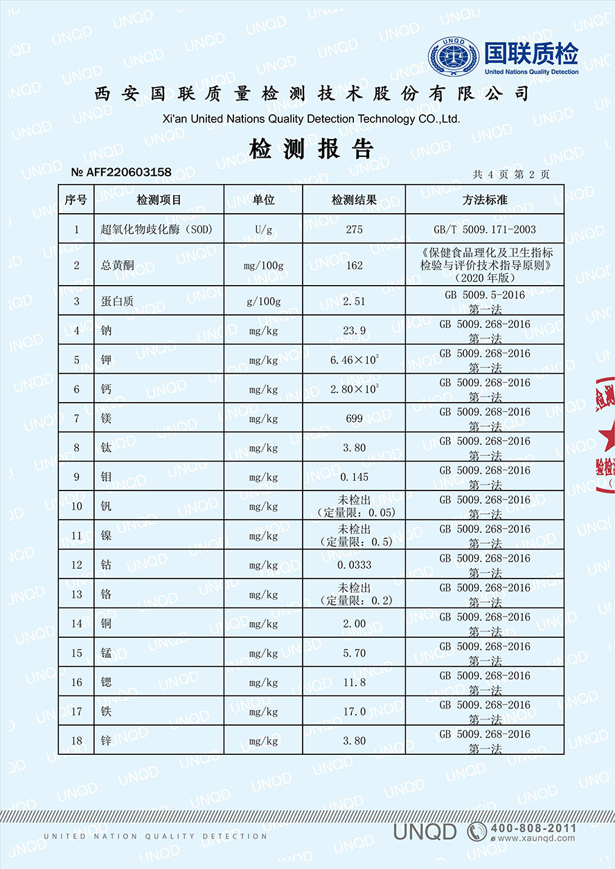 检测报告