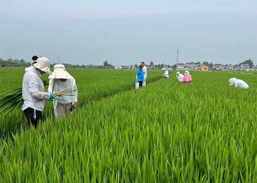 农场天地
